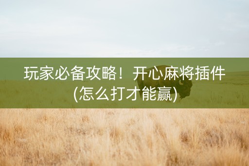 玩家必备攻略！开心麻将插件(怎么打才能赢)
