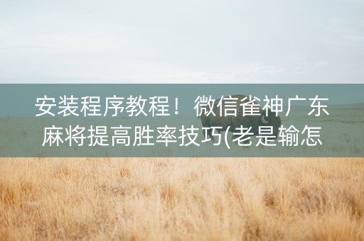 安装程序教程！微信雀神广东麻将提高胜率技巧(老是输怎么回事)
