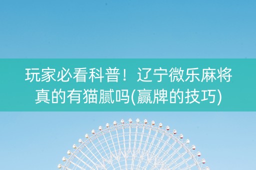 玩家必看科普！辽宁微乐麻将真的有猫腻吗(赢牌的技巧)
