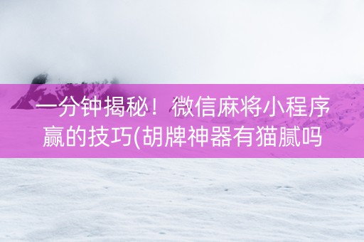 一分钟揭秘！微信麻将小程序赢的技巧(胡牌神器有猫腻吗)