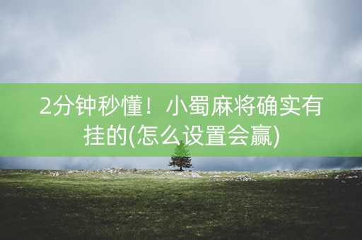 2分钟秒懂！小蜀麻将确实有挂的(怎么设置会赢)