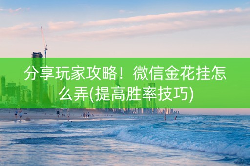 分享玩家攻略！微信金花挂怎么弄(提高胜率技巧)