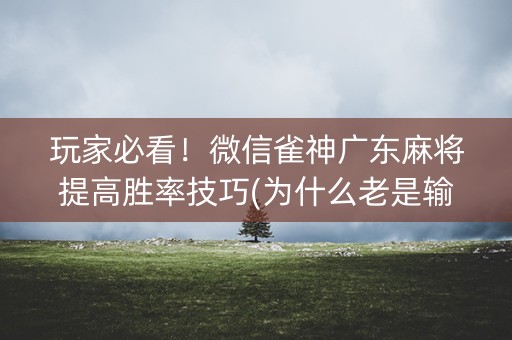 玩家必看！微信雀神广东麻将提高胜率技巧(为什么老是输呢)