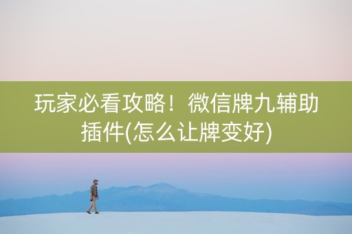 玩家必看攻略！微信牌九辅助插件(怎么让牌变好)