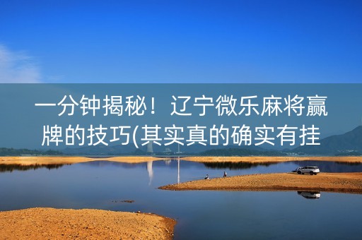 一分钟揭秘！辽宁微乐麻将赢牌的技巧(其实真的确实有挂)