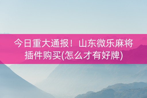 今日重大通报！山东微乐麻将插件购买(怎么才有好牌)