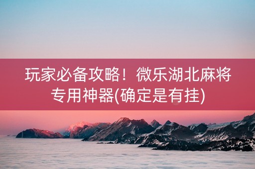 玩家必备攻略！微乐湖北麻将专用神器(确定是有挂)