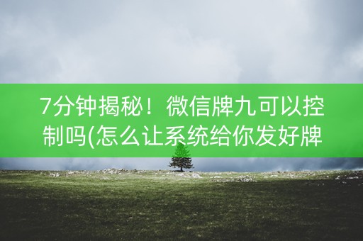 7分钟揭秘！微信牌九可以控制吗(怎么让系统给你发好牌)