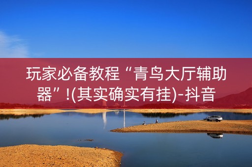 玩家必备教程“青鸟大厅辅助器”!(其实确实有挂)-抖音
