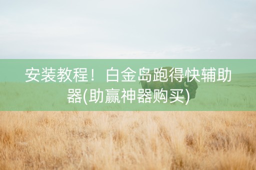 安装教程！白金岛跑得快辅助器(助赢神器购买)