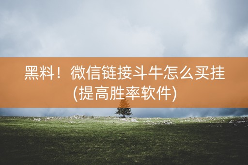 黑料！微信链接斗牛怎么买挂(提高胜率软件)