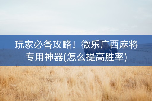 玩家必备攻略！微乐广西麻将专用神器(怎么提高胜率)