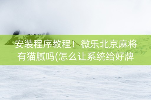 安装程序教程！微乐北京麻将有猫腻吗(怎么让系统给好牌)