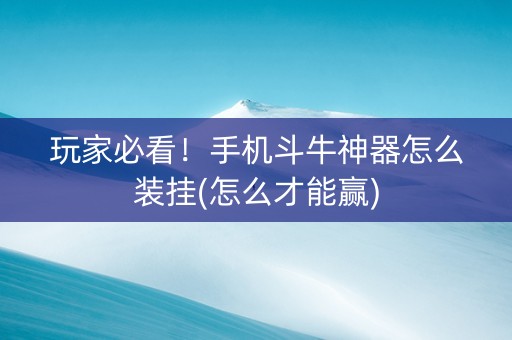 玩家必看！手机斗牛神器怎么装挂(怎么才能赢)