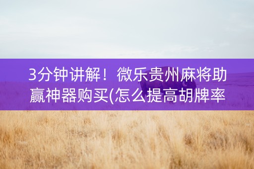 3分钟讲解！微乐贵州麻将助赢神器购买(怎么提高胡牌率)