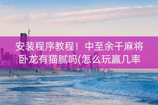 安装程序教程！中至余干麻将卧龙有猫腻吗(怎么玩赢几率大)