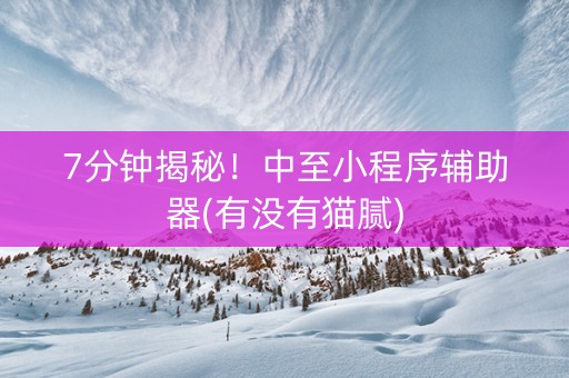 7分钟揭秘！中至小程序辅助器(有没有猫腻)
