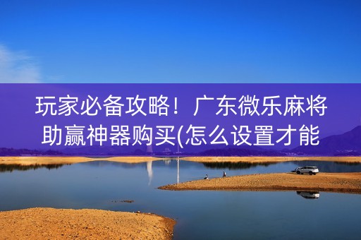 玩家必备攻略！广东微乐麻将助赢神器购买(怎么设置才能赢)