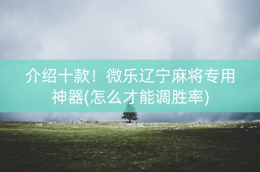 介绍十款！微乐辽宁麻将专用神器(怎么才能调胜率)