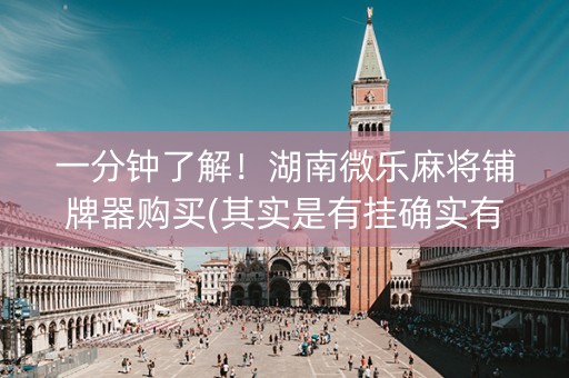 一分钟了解！湖南微乐麻将铺牌器购买(其实是有挂确实有挂)