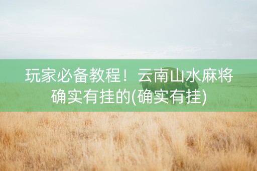 玩家必备教程！云南山水麻将确实有挂的(确实有挂)