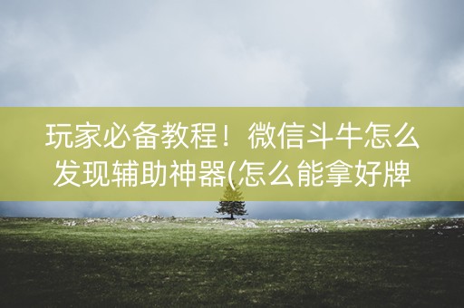 玩家必备教程！微信斗牛怎么发现辅助神器(怎么能拿好牌)