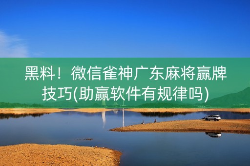 黑料！微信雀神广东麻将赢牌技巧(助赢软件有规律吗)