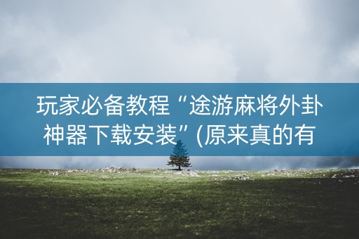 玩家必备教程“途游麻将外卦神器下载安装”(原来真的有挂)-抖音
