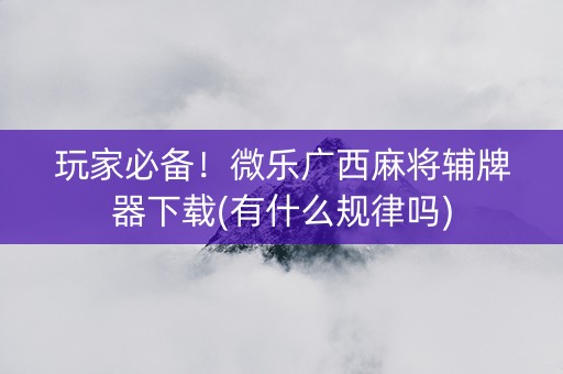 玩家必备！微乐广西麻将辅牌器下载(有什么规律吗)