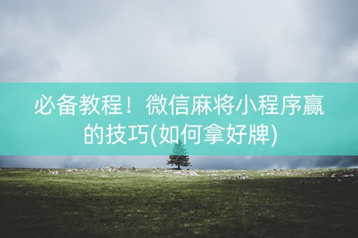 必备教程！微信麻将小程序赢的技巧(如何拿好牌)