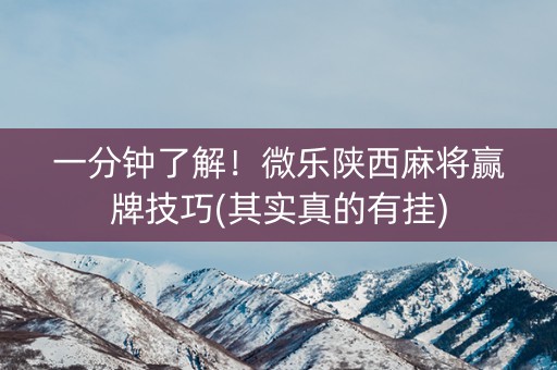 一分钟了解！微乐陕西麻将赢牌技巧(其实真的有挂)