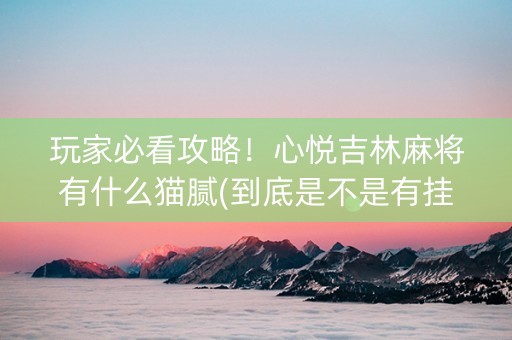 玩家必看攻略！心悦吉林麻将有什么猫腻(到底是不是有挂)