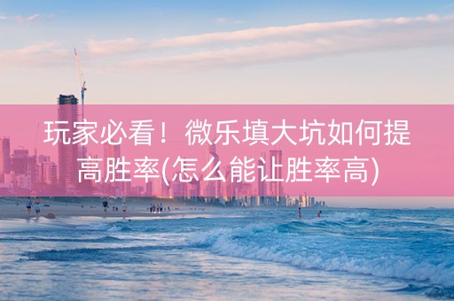 玩家必看！微乐填大坑如何提高胜率(怎么能让胜率高)