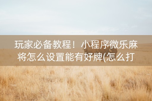 玩家必备教程！小程序微乐麻将怎么设置能有好牌(怎么打赢的几率大)