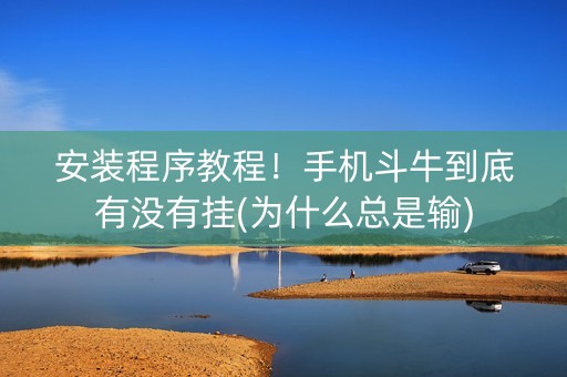 安装程序教程！手机斗牛到底有没有挂(为什么总是输)