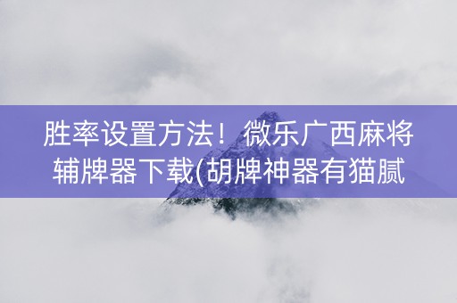 胜率设置方法！微乐广西麻将辅牌器下载(胡牌神器有猫腻吗)