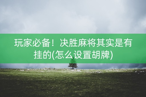 玩家必备！决胜麻将其实是有挂的(怎么设置胡牌)