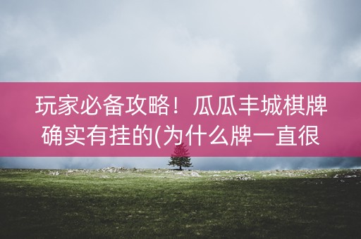 玩家必备攻略！瓜瓜丰城棋牌确实有挂的(为什么牌一直很差)