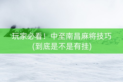 玩家必看！中至南昌麻将技巧(到底是不是有挂)
