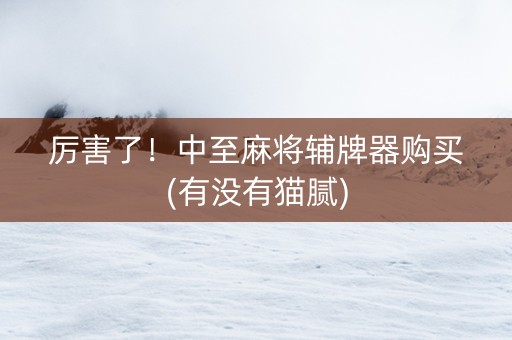 厉害了！中至麻将辅牌器购买(有没有猫腻)