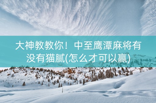 大神教教你！中至鹰潭麻将有没有猫腻(怎么才可以赢)
