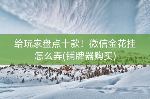 给玩家盘点十款！微信金花挂怎么弄(铺牌器购买)