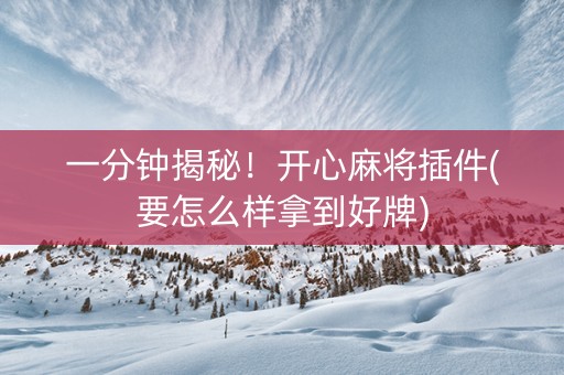 一分钟揭秘！开心麻将插件(要怎么样拿到好牌)