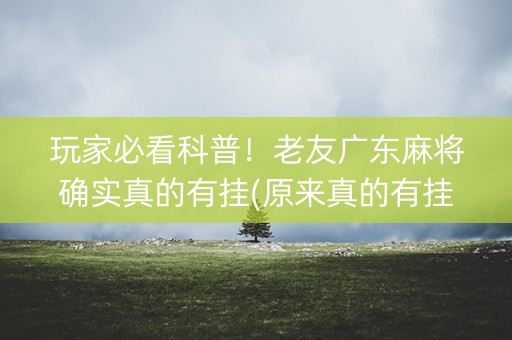 玩家必看科普！老友广东麻将确实真的有挂(原来真的有挂)
