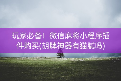 玩家必备！微信麻将小程序插件购买(胡牌神器有猫腻吗)