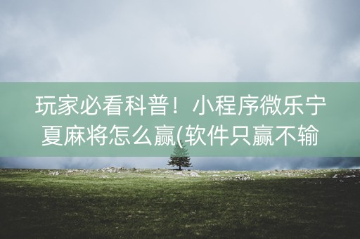 玩家必看科普！小程序微乐宁夏麻将怎么赢(软件只赢不输)