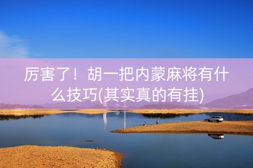 厉害了！胡一把内蒙麻将有什么技巧(其实真的有挂)