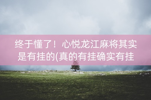 终于懂了！心悦龙江麻将其实是有挂的(真的有挂确实有挂)