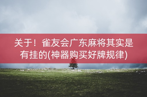 关于！雀友会广东麻将其实是有挂的(神器购买好牌规律)