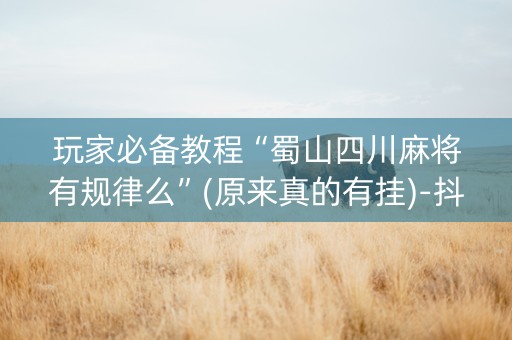 玩家必备教程“蜀山四川麻将有规律么”(原来真的有挂)-抖音